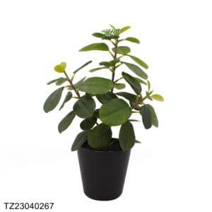 High Quality Fake Green Plants Bonsai Artificial Plant With Pot And Stand Decorative Homeware