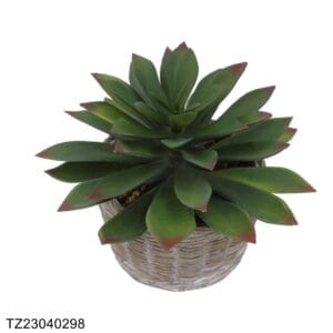 TZ23040298 Artificial Succulent Series