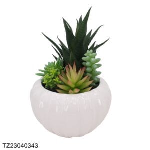 TZ23040343 Artificial Succulent Series