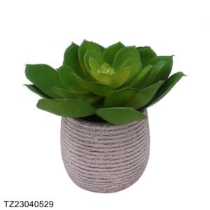 TZ23040529 Artificial Succulent Series