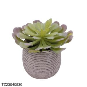 TZ23040530 Artificial Succulent Series