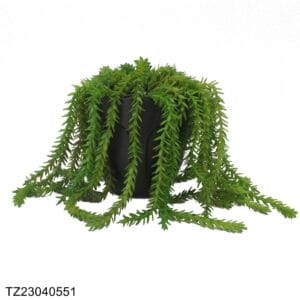 TZ23040551 Artificial Succulent Series