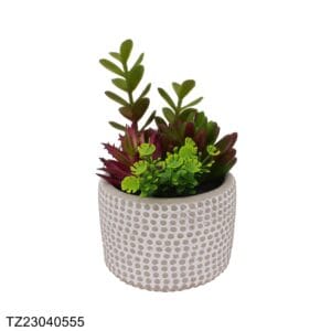 TZ23040555 Artificial succulent series