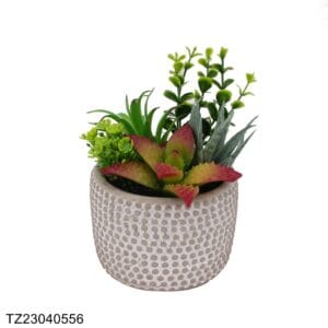 TZ23040556 Artificial succulent series