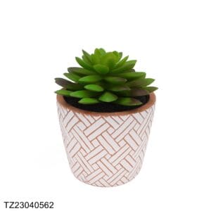 TZ23040562 Artificial succulent series