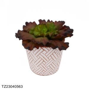 TZ23040563 Artificial succulent series