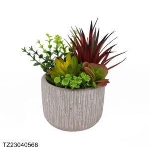 TZ23040566 Artificial succulent series