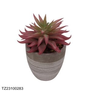 TZ23100283 Artificial succulent series