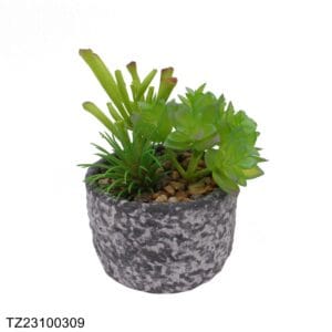 TZ23100309 Artificial succulent series