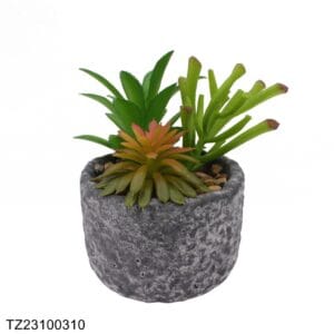 TZ23100310 Artificial succulent series