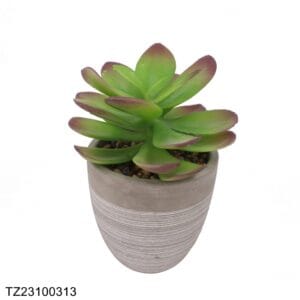 TZ23100313 Artificial succulent series