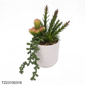 TZ23100316 Artificial succulent series