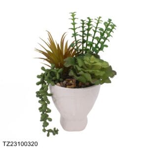 TZ23100320 Artificial succulent series