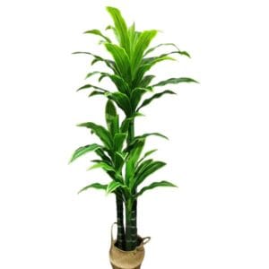 High Quality Large Medium Simulation Bonsai Indoor Outdoor Artificial Palm Trees
