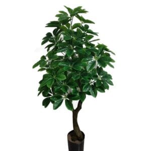 Shantou Tizen Modern Design Medium Fake Bonsai Home Decoration artificial plants tree For School Office