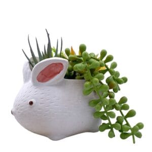 Tizen New Arrival Decoration Plants Simulation Flowers Artificial Small Succulents In Different Animal Style Pot