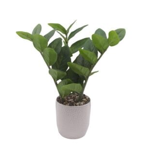High Quality Artificial Plants For Outdoor Pots Bonsai Simulation Green Plant Artificial Small Pot Home Hotel Soft Installation