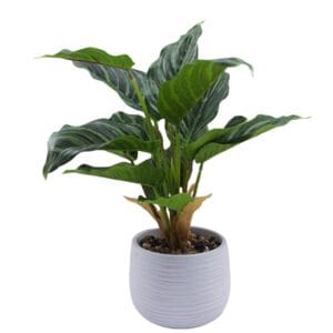 Tizen Hot Sale Indoor Decor Fake Flowers Green Artificial Potted Poinsettia Plants For Mother's Day And Wedding