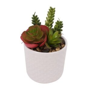 Tizen Hot Selling Product Bonsai Green Flower Plant Interior Decoration Succulent Artificial Plants For Living Room