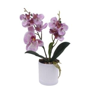Popular Product Props Display Plastic Set Combination Artificial Plants And Flowers Potted For Indoor Decoration