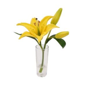 Wholesale Price Room Table Place Decorative Real Touch Artificial Flower Background Stage Decoration Green Plant Potted