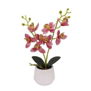 New Arrival Tizen Indoor Home Table Bonsai Real Touch Decorative Artificial Flowers in Custom Potted for Christmas Mother's Day
